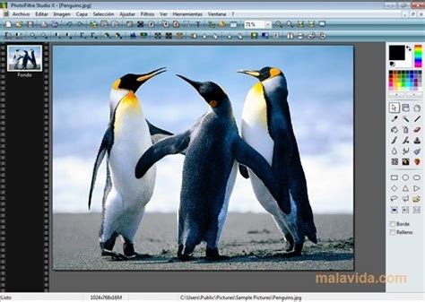 Download PhotoFiltre Studio v11.6.1