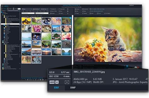 Download Ashampoo Photo Commander
