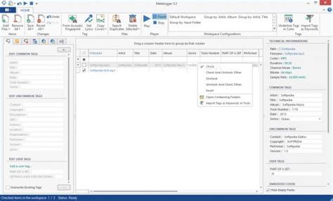 MetatOGGer 7.5.0 Full Version